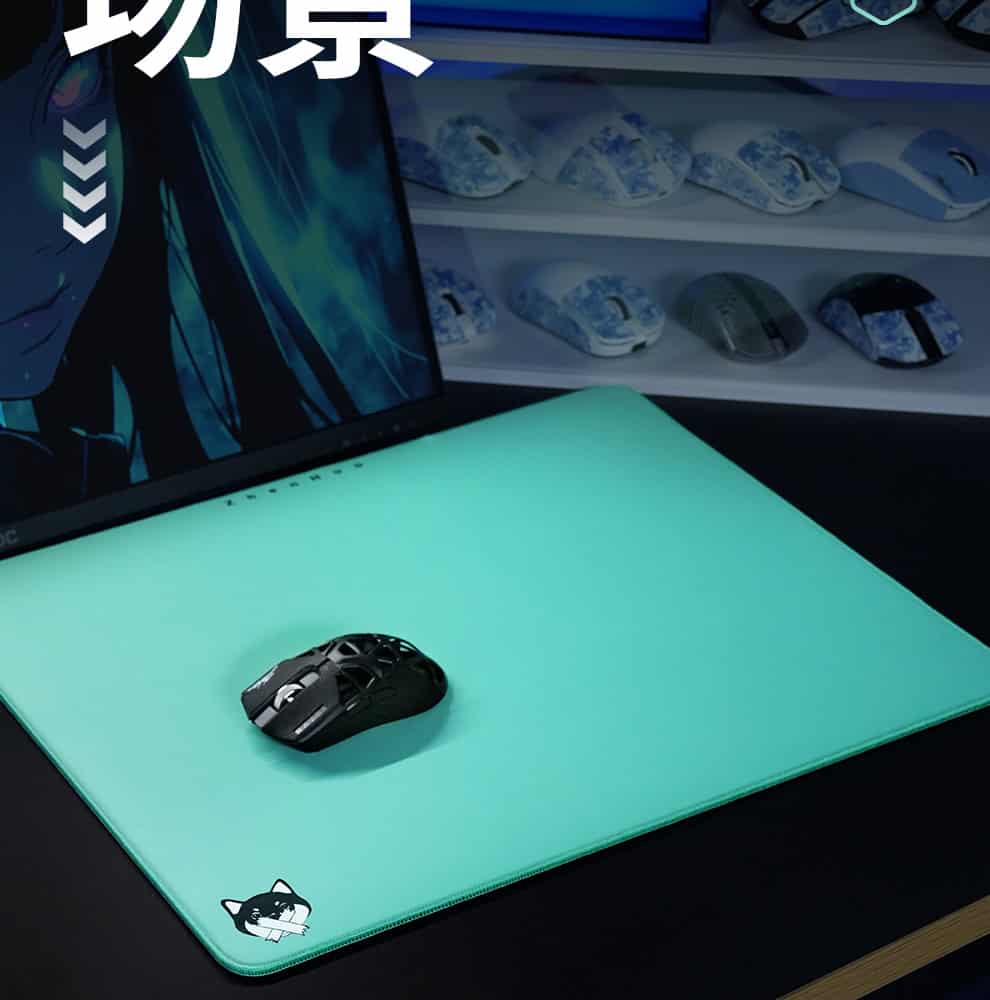 2025062802552381